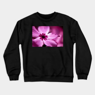 Pink Dwarf Phlox flower Crewneck Sweatshirt